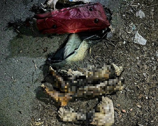 Manh mối quan trọng trong vụ án phân xác ở Bình Dương-4