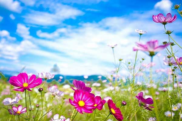 3 con giáp cẩn trọng, tỉ mỉ, sang tháng 6 hoàn thành mọi mục tiêu, tài lộc cực vượng-4