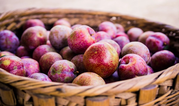 Ăn mận vào mùa hè giúp tăng sinh collagen nhưng có 2 đại kỵ cần phải tránh-4