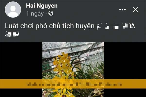 Cô gái ở Hà Nội mất hàng trăm triệu đồng vì đầu tư ngoại hối quốc tế-2