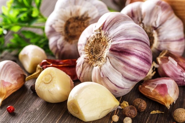 Loại quả được ví như nhân sâm xanh”, giá chỉ khoảng 30.000 đồng/kg nhưng nhiều người chê không ăn-4