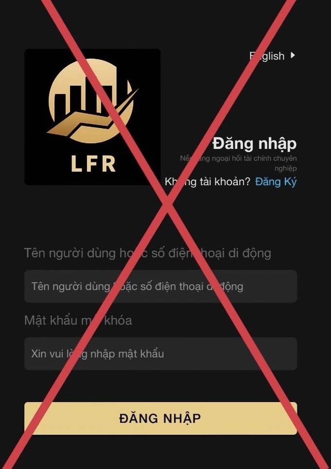 Cô gái ở Hà Nội mất hàng trăm triệu đồng vì đầu tư ngoại hối quốc tế-1