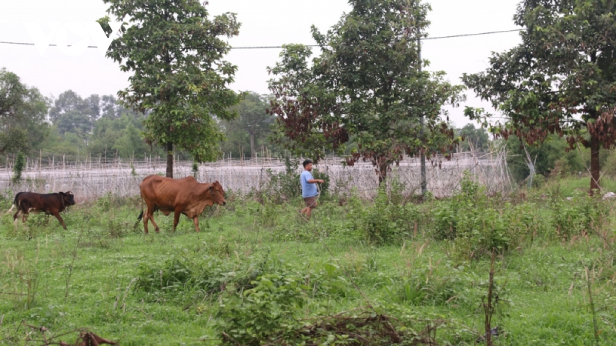 Hiện trường vụ phân xác ở Bình Dương là khu tái định cư bỏ hoang, ngập rác-3