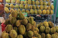 Sầu riêng ế khách, bán cả ngày chỉ có vài người hỏi mua