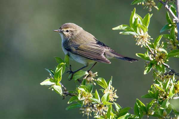 Người sinh tháng Âm lịch này khó khăn không nản, quay xe bất ngờ, tương lai lên như diều gặp gió-1
