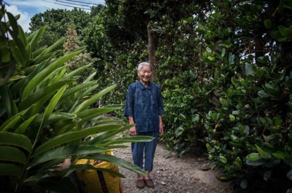 Người dân ngôi làng trường thọ nhất thế giới sống lâu trăm tuổi nhờ loại quả giá chỉ 20.000 đồng/kg ở chợ Việt-1