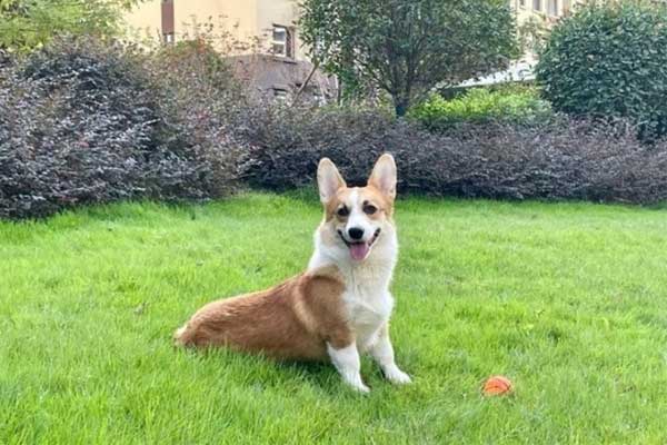 Âm mưu thâm hiểm của gã bác sĩ khiến cựu hoa hậu mất mạng-3