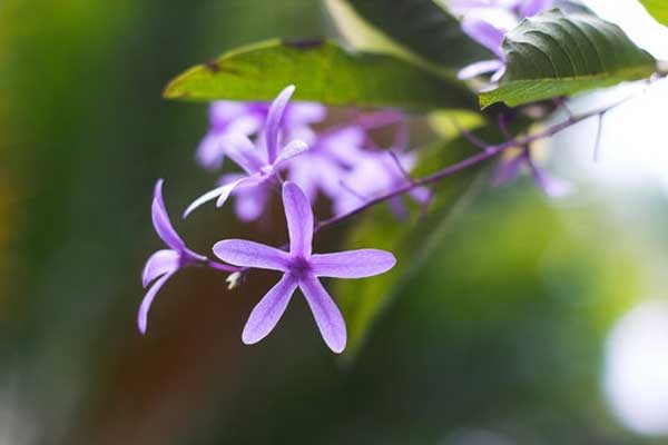 Nắm chắc thành công, người sinh tháng Âm lịch này có sự nghiệp vững vàng, tương lai rực rỡ-5