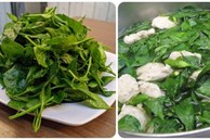 Lá ớt có ăn được không?