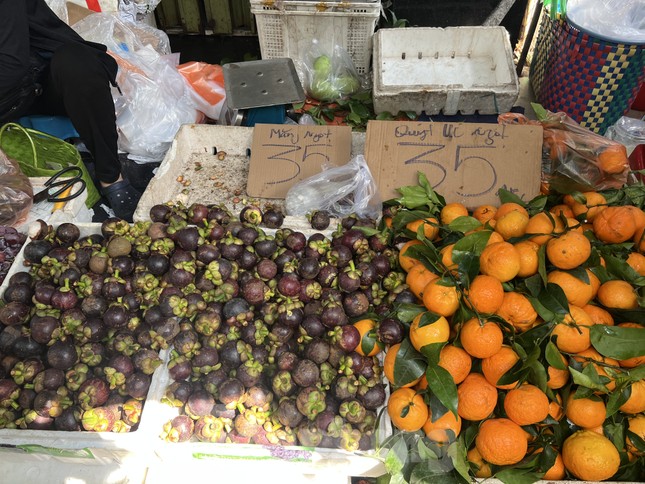 Hiện tượng lạ: Măng cụt rớt giá đầu vụ-4