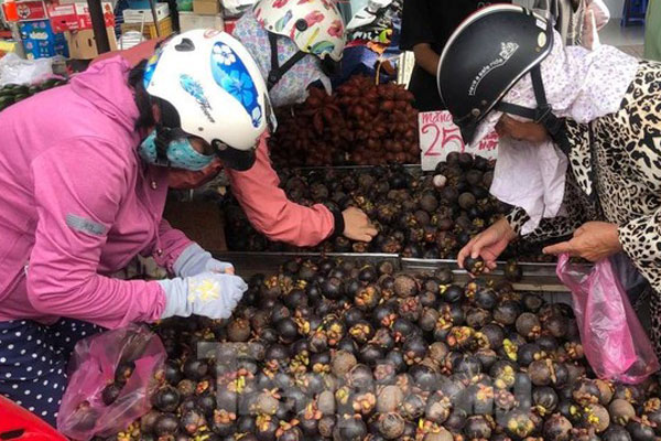 Loại quả từ xanh đến chín đều hot một thời, nay phần vỏ cũng bán giá gần 100.000 đồng/kg-3