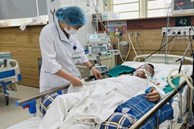 3 người ngộ độc do ăn sâu ban miêu: Bệnh nhân 38 tuổi phải thở máy