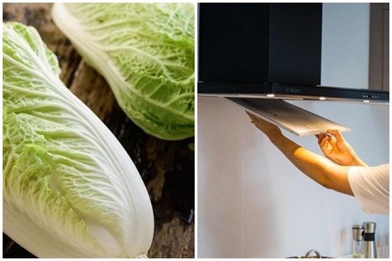 Cải thảo - loại rau có thể giúp vệ sinh máy hút mùi nhanh như chớp