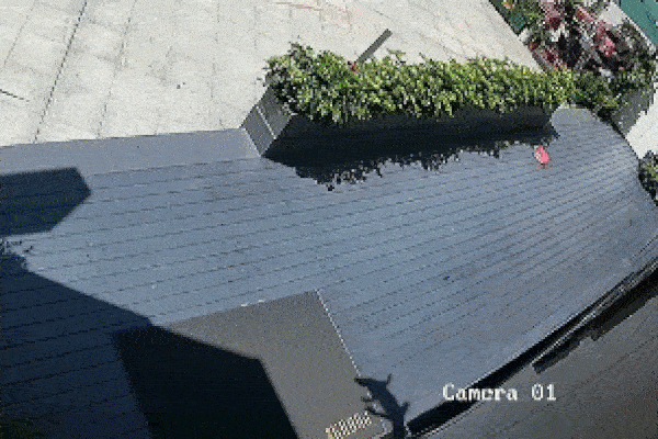 Clip: Bị tấn công, người đàn ông cầm chảo đập thẳng vào đầu cá sấu-1