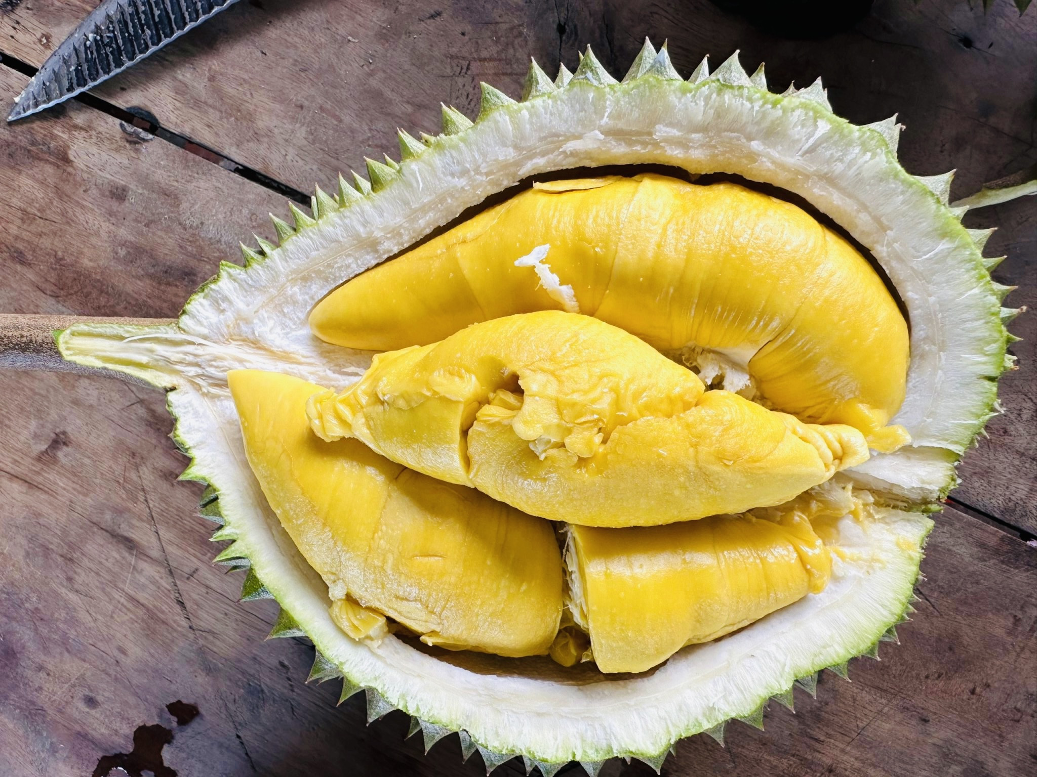 Sầu riêng Musang King trồng ở miền Tây, giá rẻ chưa từng có-1