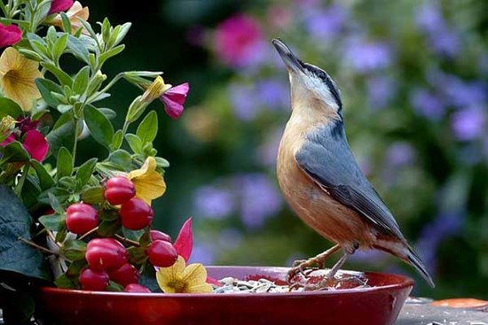 Tháng 6 khởi đầu thuận lợi, 3 con giáp tài lộc sung túc, đón 