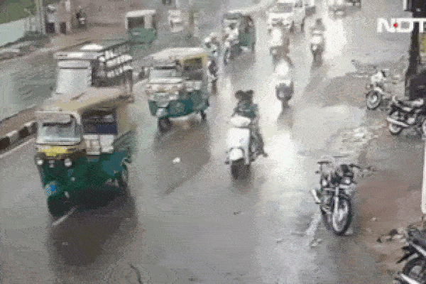 Clip: Bị cành cây rơi trúng, cụ ông ngồi xe lăn tử vong-1