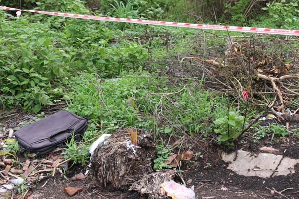 Nghi án giết người phân xác ở Bình Dương: Động thái mới của cơ quan điều tra-2