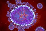 Loại virus nhiều người nhiễm nhưng dễ bị bỏ qua