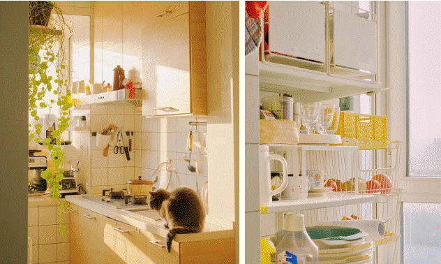 Cô gái quyết tâm cải tạo nhà cũ xập xệ và thành quả ai cũng khen-4