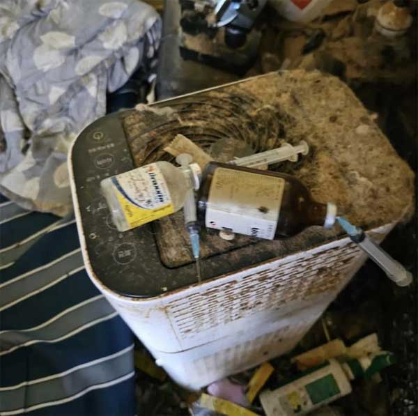 Sự ác độc bên trong trại nhân giống chó ở Hàn Quốc-2