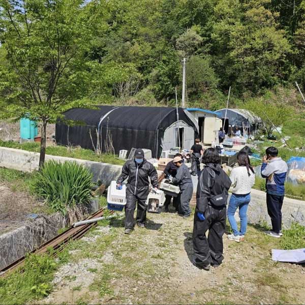 Sự ác độc bên trong trại nhân giống chó ở Hàn Quốc-4