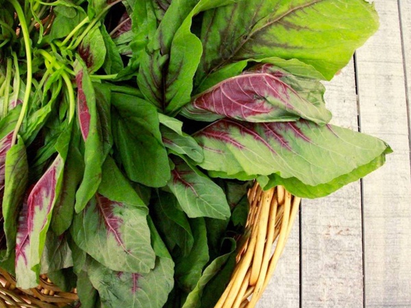 Rau dền giúp giải nhiệt ngày hè nhưng có thể gây hại nếu ăn không đúng cách-1