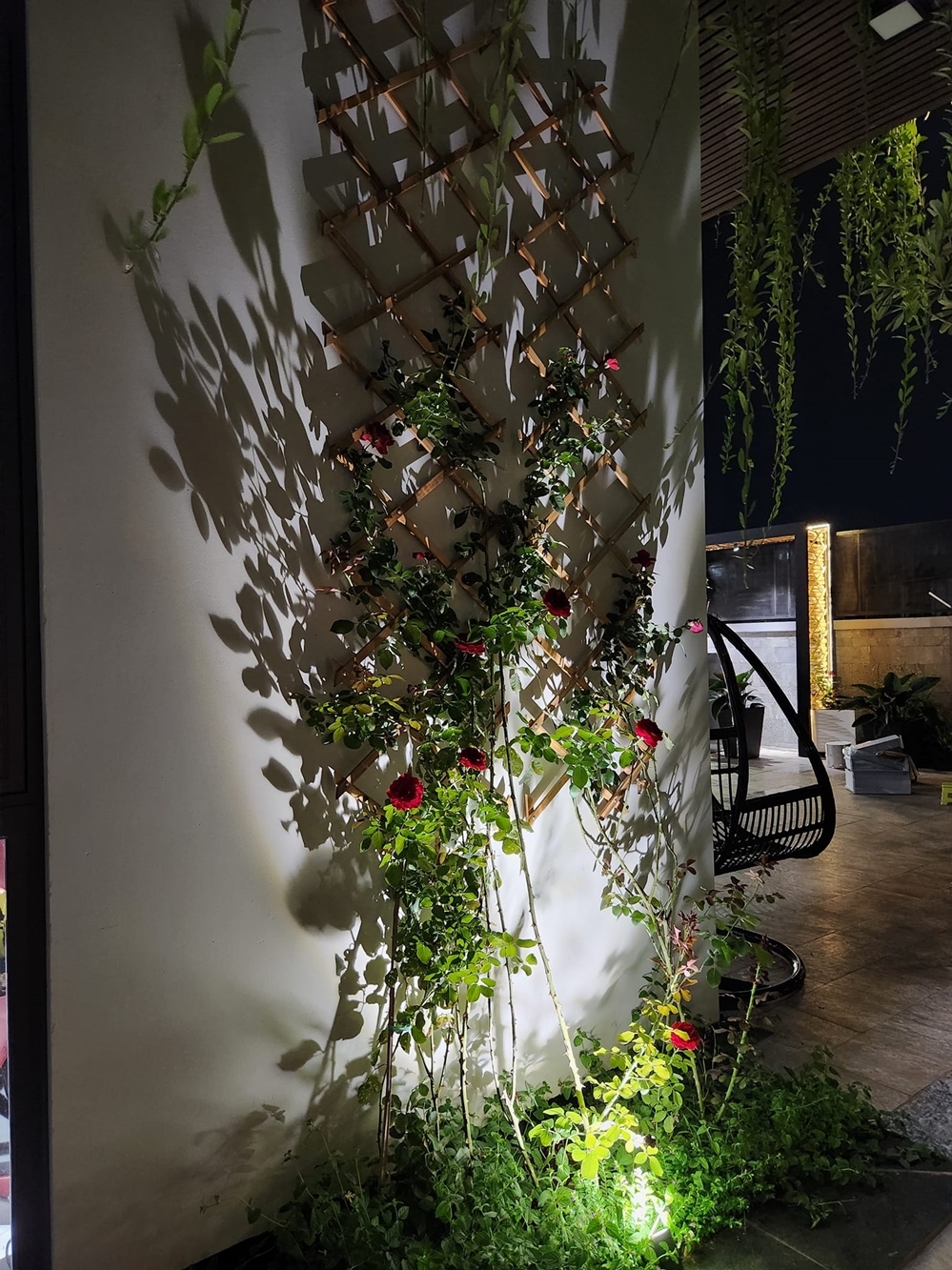 Đàn con nhà Quách Thành Danh nô đùa trong biệt thự 30 tỷ đồng, ai nhìn cũng khao khát sở hữu-9