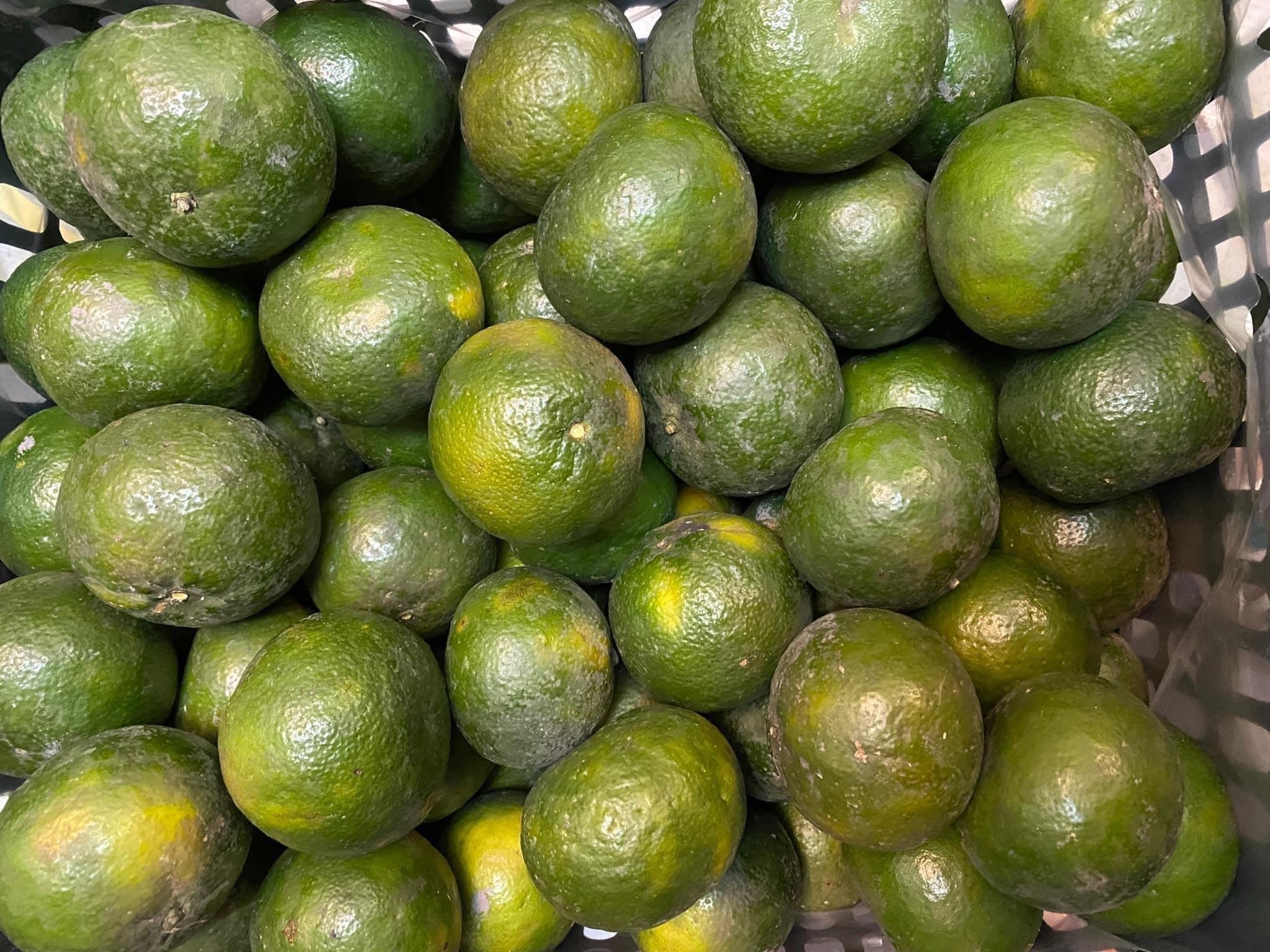 Nắng thiêu đốt, cam sành giải nhiệt giá rẻ bất ngờ-2