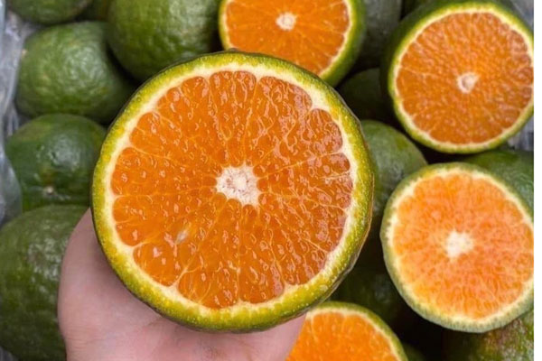 Xe hàng ùn ùn sang Trung Quốc, tiền bán sầu riêng tăng vọt 573%-2