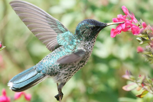 Ai sinh ngày Âm lịch này tự mình giành thắng lợi, tốt lành có đôi, phúc lộc đến nhà-1