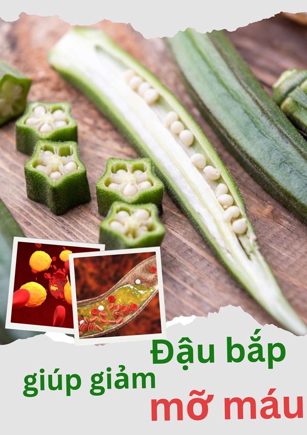 Loại quả được ví như nhân sâm xanh”, giá chỉ khoảng 30.000 đồng/kg nhưng nhiều người chê không ăn-2