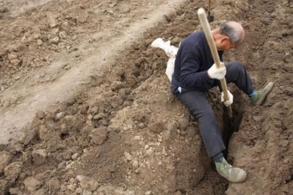 Trộm đồ trong mộ cổ, lão nông bất ngờ gặp tai ương lớn ập đến sau vài năm-1