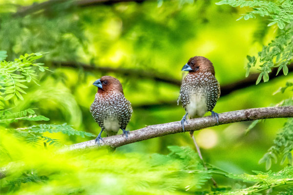 Tử vi ngày 3/6/2023: Tuổi Dần quý nhân nâng bước, tuổi Tuất tiểu nhân tranh đấu-4