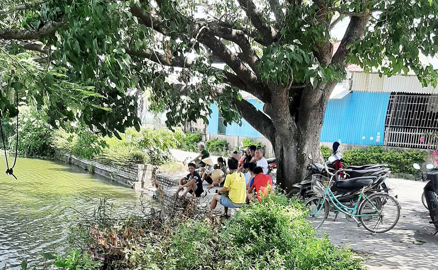 Chảo lửa Nghệ An mất điện, bố soi đèn đút cơm cho con ngoài đồng-5