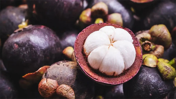 Bà bầu ăn măng cụt được không?-4