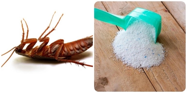 Cách đuổi gián trong nhà tắm bằng bột giặt-2