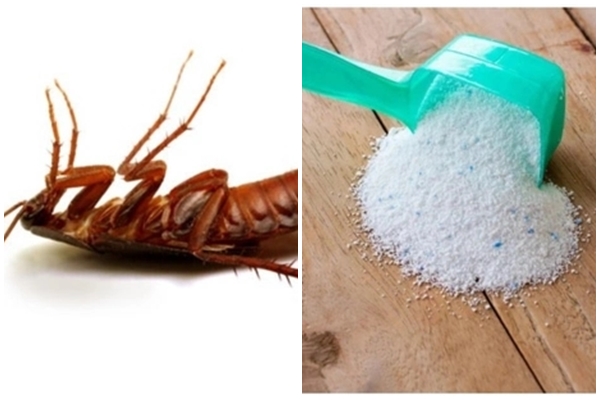Cách đi xe ga tiết kiệm xăng-2