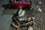 Tay chân bị đốt trong túi xách ở Bình Dương: Khởi tố vụ án hình sự-2