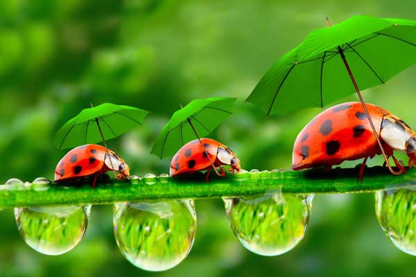 Người có giờ sinh này, ra cửa gặp quý nhân, phúc khí thịnh vượng, cuối đời sung túc-4