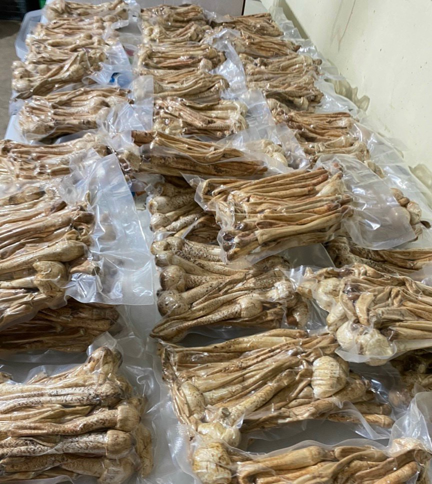 Trời mưa mới được ăn nấm mối, 1 triệu đồng/kg vẫn hết sạch-3