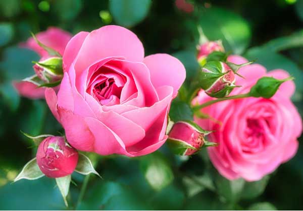 Người có giờ sinh này, ra cửa gặp quý nhân, phúc khí thịnh vượng, cuối đời sung túc-3