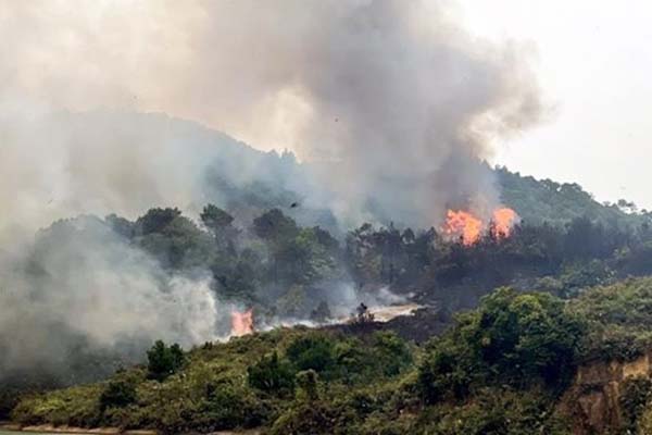 Bắt nam thanh niên nhận chém người với giá 5 triệu đồng-2