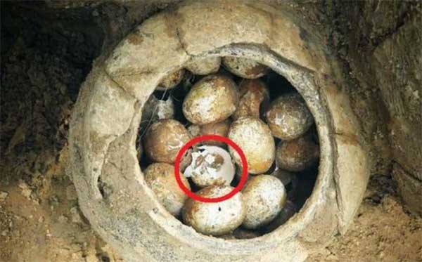 Vì sao các nhà khảo cổ lại sợ trứng gà” khi khai quật mộ cổ?-4