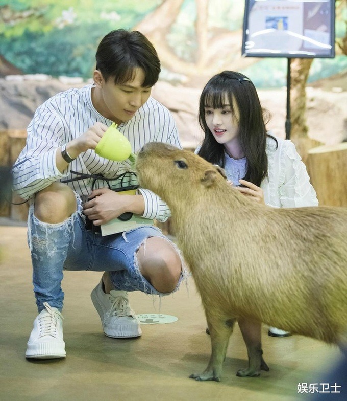 Trịnh Sảng lộ hình ảnh mới, fan tiếc nuối nhan sắc ngọt ngào một thời-3