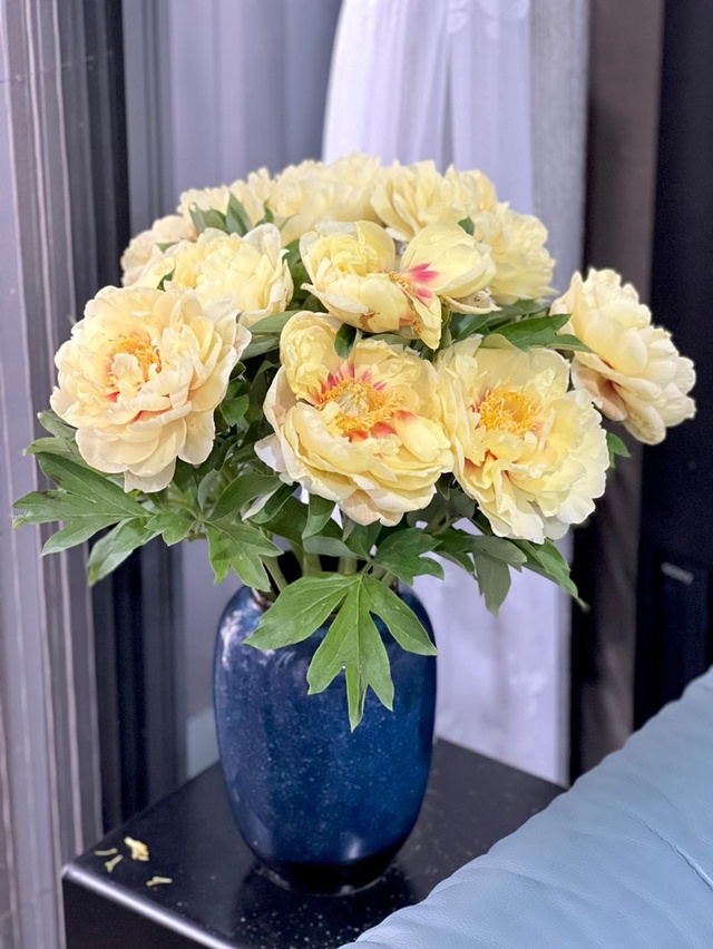 Lên chức to, ở tuổi 50 MC Diễm Quỳnh sống hạnh phúc bên các con gái trong căn nhà luôn rực rỡ sắc hoa-5