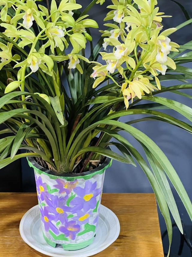 Lên chức to, ở tuổi 50 MC Diễm Quỳnh sống hạnh phúc bên các con gái trong căn nhà luôn rực rỡ sắc hoa-17