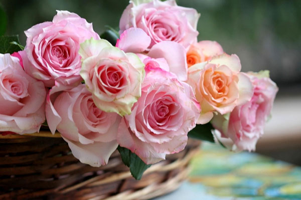 3 con giáp dám dũng cảm đương đầu, làm đâu thắng đó, thăng tiến nhanh trong nghịch cảnh-4