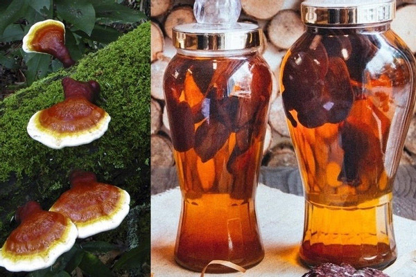 Không kịp dùng thuốc giải, hai ca ngộ độc botulinum hết 300 triệu đồng viện phí-2