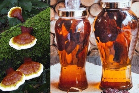 7 người ở Thanh Hóa bị ngộ độc nghi do uống rượu ngâm nấm